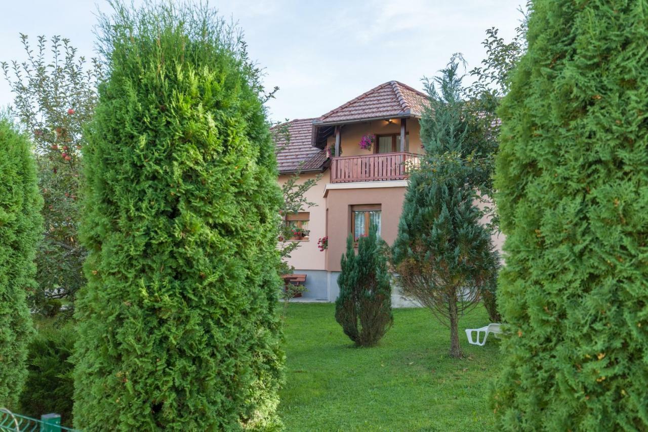 Apartment Ivan & Iva Gornji Vaganac 外观 照片